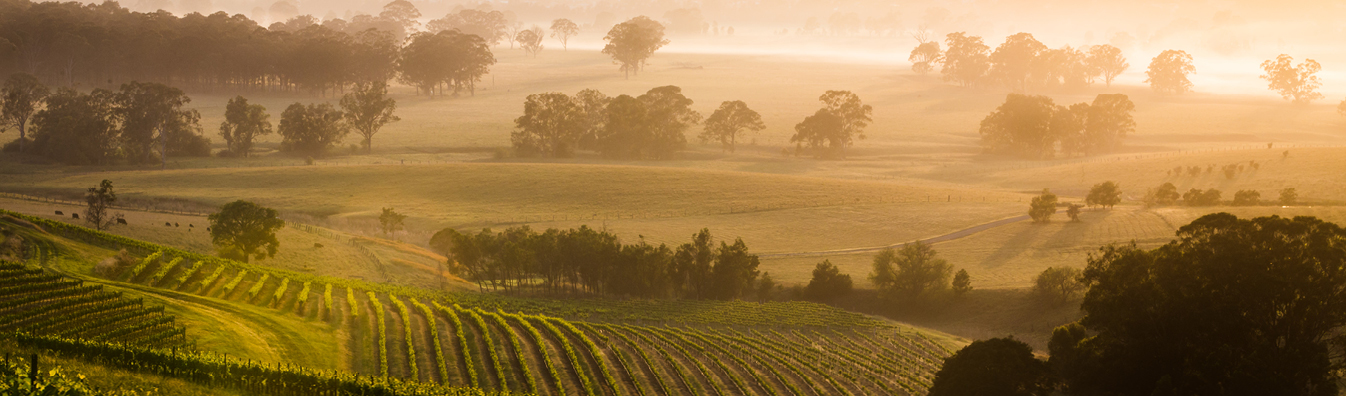 LS4021_RLS_RegVisit_HunterValley_WebHomepagetop_2024-08-28